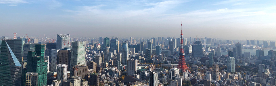 【静岡市】相続税対策で不動産を活用するメリット・デメリットと活用事例